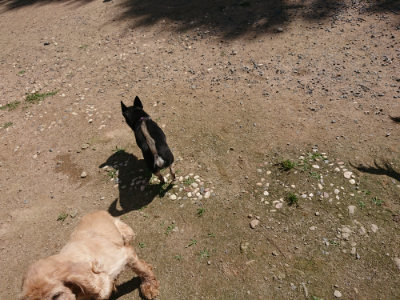 f:id:roukenhome-ann:20190613140935j:plain