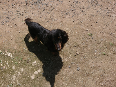 f:id:roukenhome-ann:20190613141004j:plain