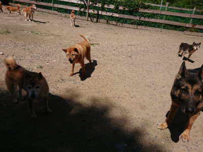 f:id:roukenhome-ann:20190613141013j:plain