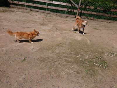f:id:roukenhome-ann:20190613141027j:plain