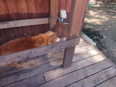 f:id:roukenhome-ann:20190613141037j:plain