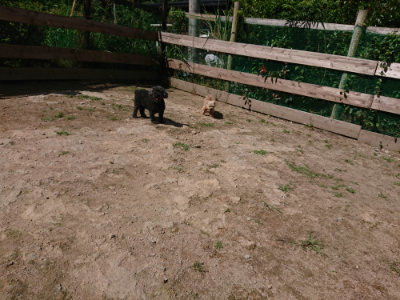 f:id:roukenhome-ann:20190613141041j:plain