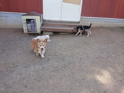 f:id:roukenhome-ann:20190613141212j:plain