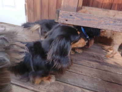 f:id:roukenhome-ann:20190613141218j:plain