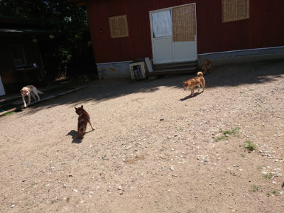 f:id:roukenhome-ann:20190613141228j:plain