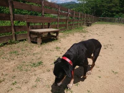 f:id:roukenhome-ann:20190613141247j:plain
