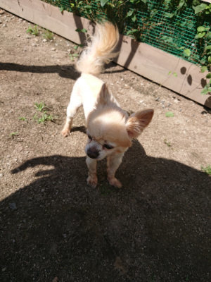 f:id:roukenhome-ann:20190613141309j:plain