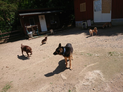 f:id:roukenhome-ann:20190613141313j:plain
