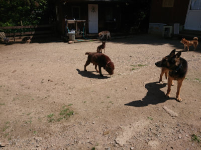 f:id:roukenhome-ann:20190613141317j:plain