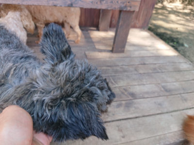 f:id:roukenhome-ann:20190613141327j:plain