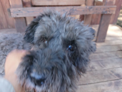 f:id:roukenhome-ann:20190613141347j:plain