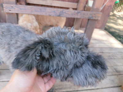 f:id:roukenhome-ann:20190613141351j:plain