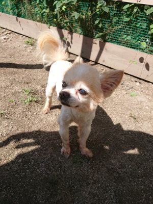 f:id:roukenhome-ann:20190613141357j:plain