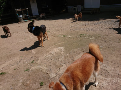 f:id:roukenhome-ann:20190613141401j:plain