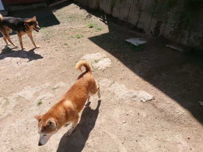 f:id:roukenhome-ann:20190613141410j:plain