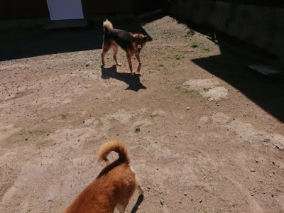 f:id:roukenhome-ann:20190613141429j:plain