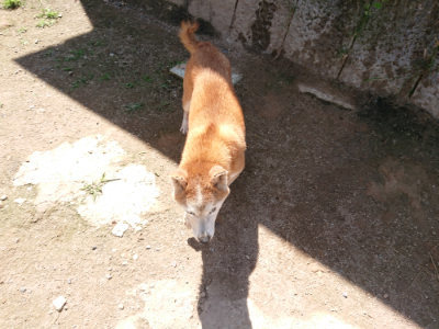 f:id:roukenhome-ann:20190613141448j:plain