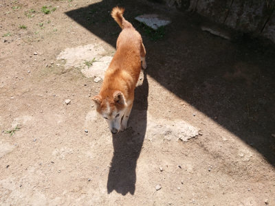 f:id:roukenhome-ann:20190613141502j:plain