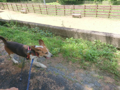 f:id:roukenhome-ann:20190613141527j:plain