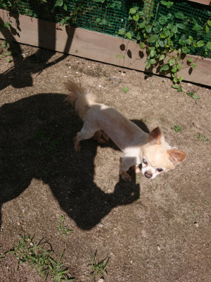 f:id:roukenhome-ann:20190613141537j:plain