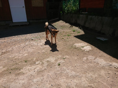 f:id:roukenhome-ann:20190613141556j:plain