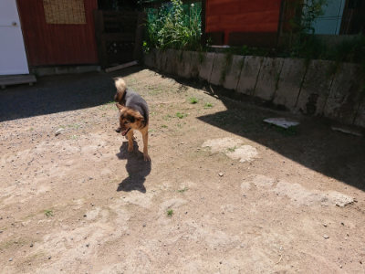 f:id:roukenhome-ann:20190613141614j:plain