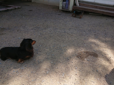 f:id:roukenhome-ann:20190613141634j:plain
