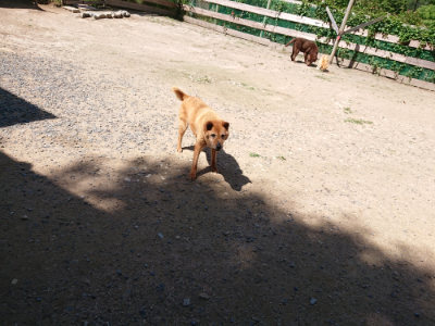 f:id:roukenhome-ann:20190613141659j:plain