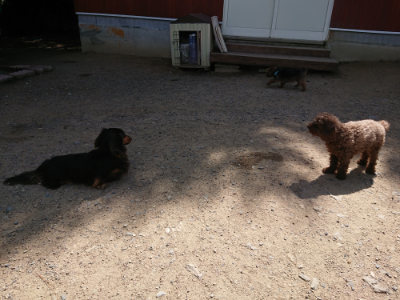 f:id:roukenhome-ann:20190613141709j:plain