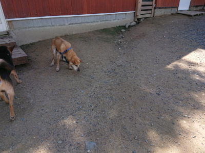 f:id:roukenhome-ann:20190613141713j:plain
