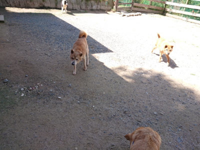f:id:roukenhome-ann:20190613141718j:plain
