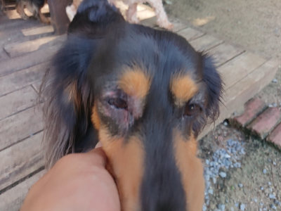 f:id:roukenhome-ann:20190613141733j:plain