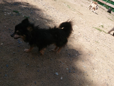 f:id:roukenhome-ann:20190613141950j:plain