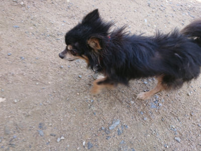 f:id:roukenhome-ann:20190613141957j:plain