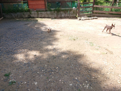 f:id:roukenhome-ann:20190613142013j:plain