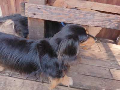 f:id:roukenhome-ann:20190613142017j:plain