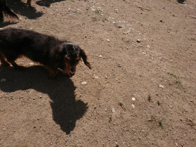 f:id:roukenhome-ann:20190613142022j:plain