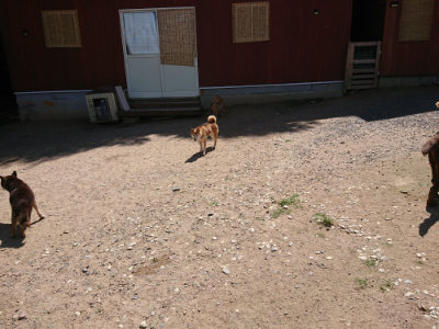 f:id:roukenhome-ann:20190613142028j:plain