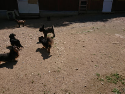 f:id:roukenhome-ann:20190613142036j:plain