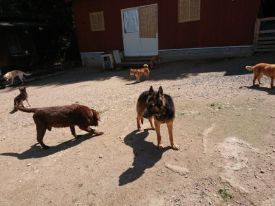 f:id:roukenhome-ann:20190613142041j:plain