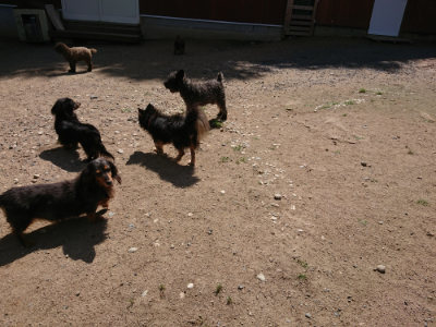 f:id:roukenhome-ann:20190613142054j:plain