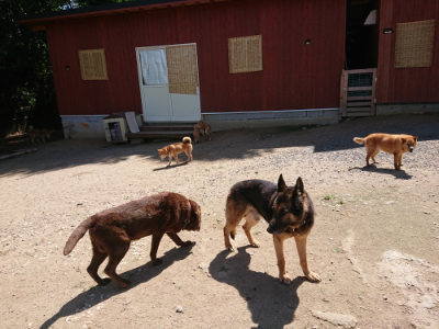 f:id:roukenhome-ann:20190613142058j:plain