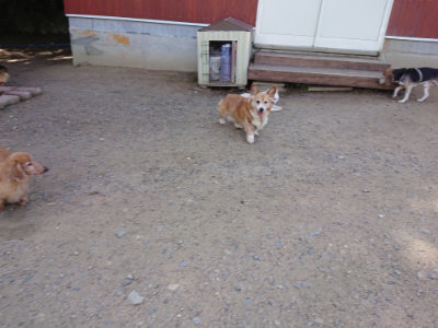 f:id:roukenhome-ann:20190613142109j:plain