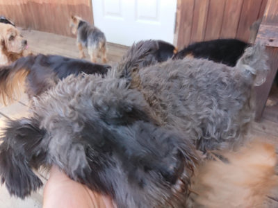 f:id:roukenhome-ann:20190613142114j:plain
