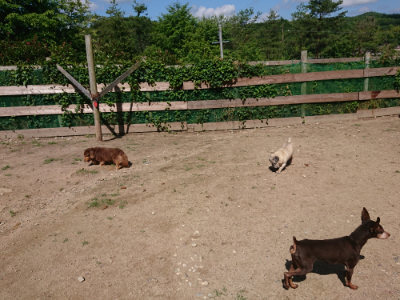 f:id:roukenhome-ann:20190613142130j:plain
