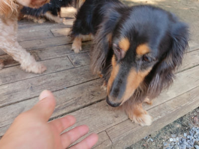 f:id:roukenhome-ann:20190613142135j:plain