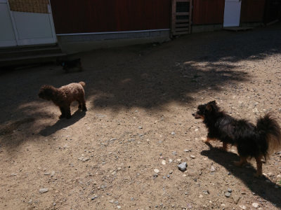 f:id:roukenhome-ann:20190613142144j:plain