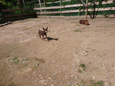 f:id:roukenhome-ann:20190613142202j:plain