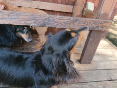 f:id:roukenhome-ann:20190613142206j:plain