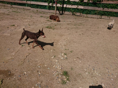 f:id:roukenhome-ann:20190613142215j:plain